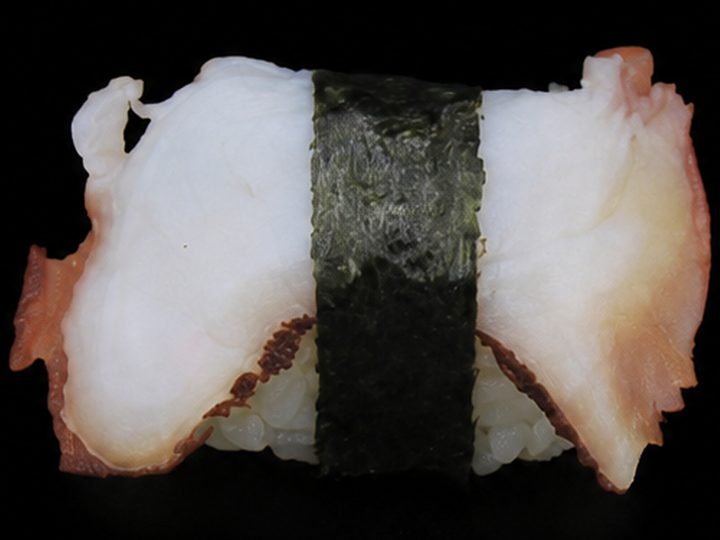 Octopus Sushi